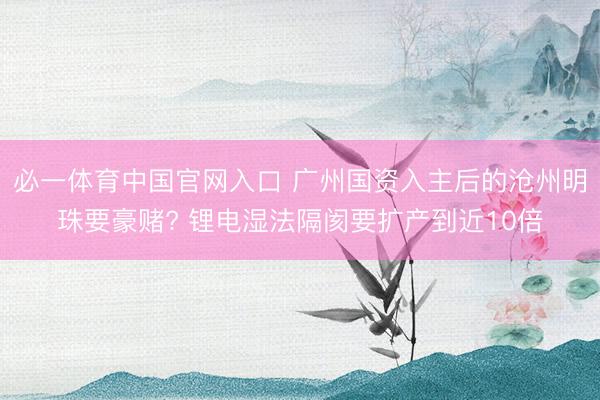 必一体育中国官网入口 广州国资入主后的沧州明珠要豪赌? 锂电湿法隔阂要扩产到近10倍