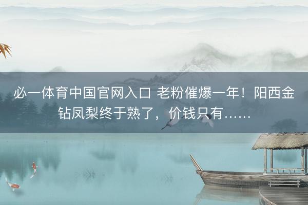 必一体育中国官网入口 老粉催爆一年！阳西金钻凤梨终于熟了，价钱只有……