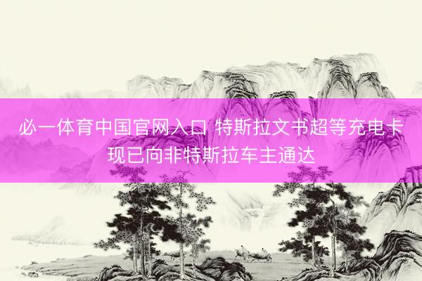 必一体育中国官网入口 特斯拉文书超等充电卡现已向非特斯拉车主通达