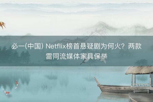 必一(中国) Netflix榜首悬疑剧为何火？两款雷同流媒体家具保举