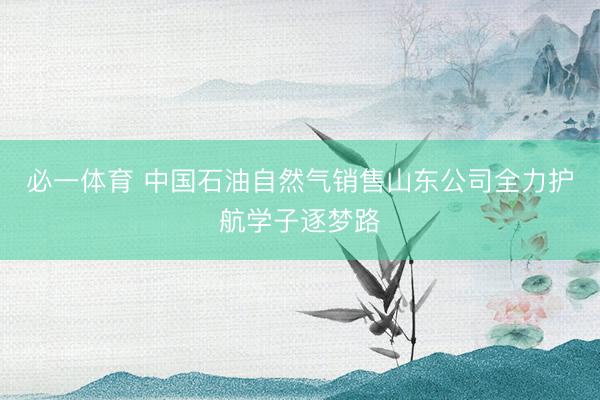 必一体育 中国石油自然气销售山东公司全力护航学子逐梦路