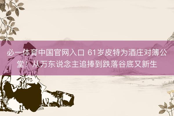 必一体育中国官网入口 61岁皮特为酒庄对簿公堂！从万东说念主追捧到跌落谷底又新生