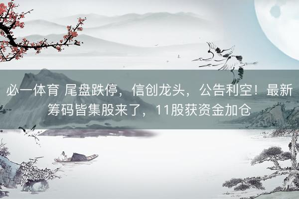 必一体育 尾盘跌停，信创龙头，公告利空！最新筹码皆集股来了，11股获资金加仓