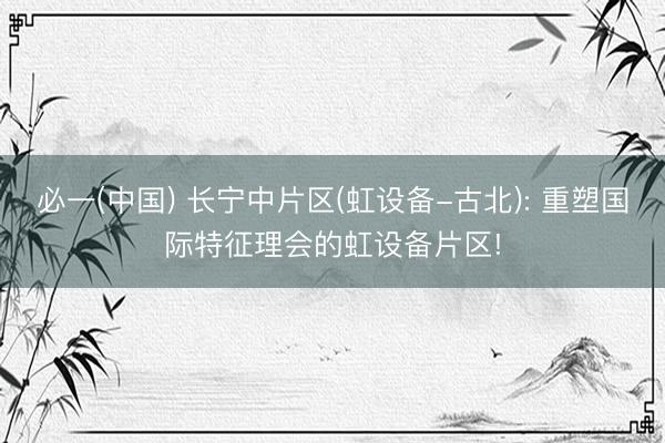必一(中国) 长宁中片区(虹设备-古北): 重塑国际特征理会的虹设备片区!