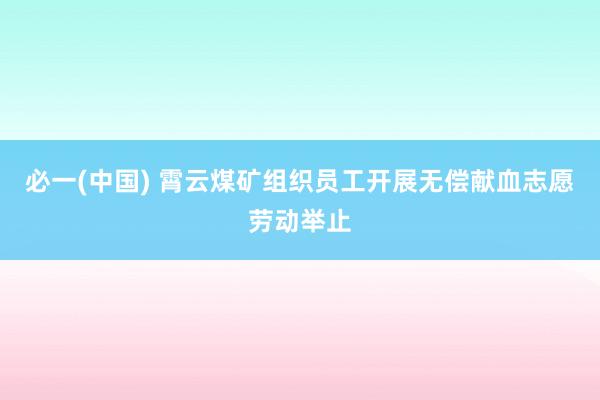必一(中国) 霄云煤矿组织员工开展无偿献血志愿劳动举止